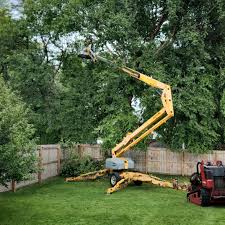 Best Commercial Tree Services  in Altamont, TN