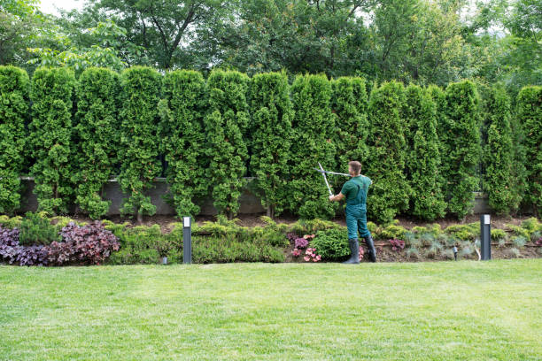 Best Lawn Watering Services  in Altamont, TN